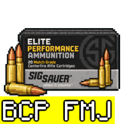 .300 BLK 標準彈